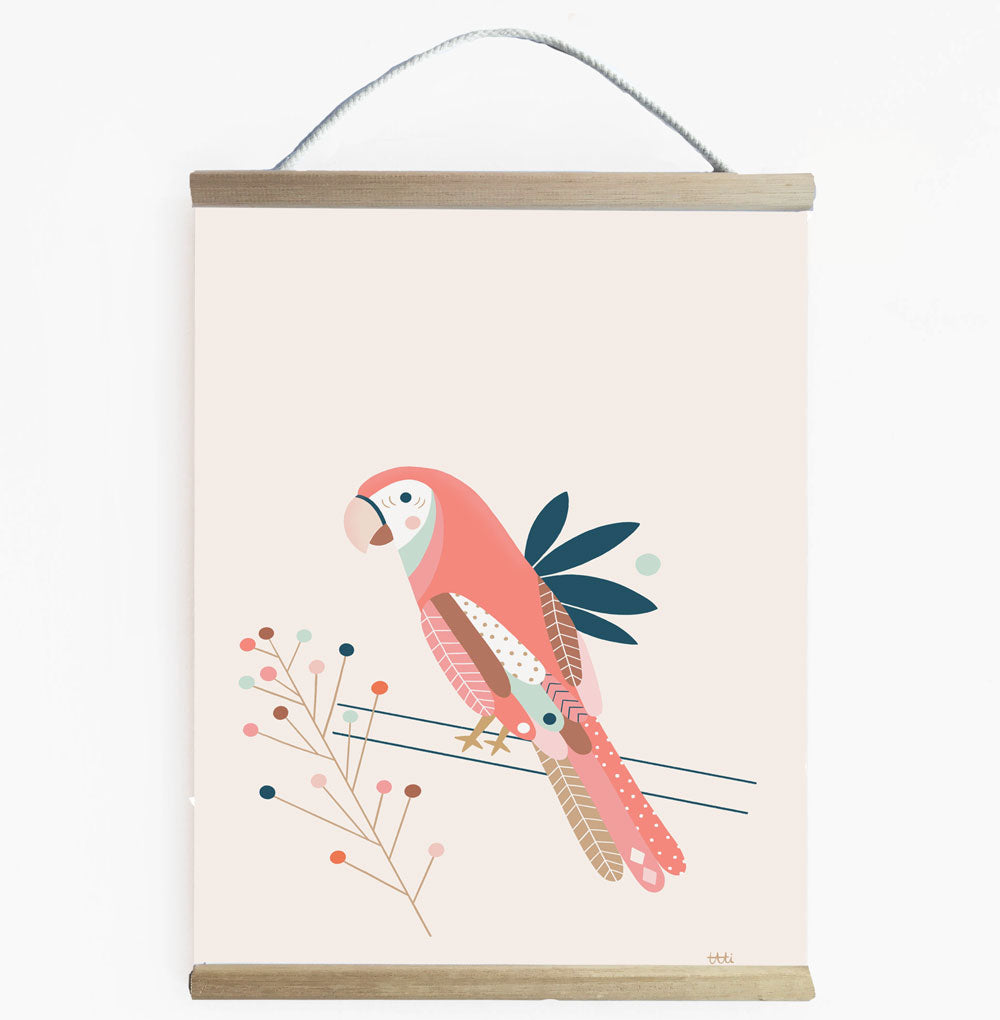Birds - Red Macaw