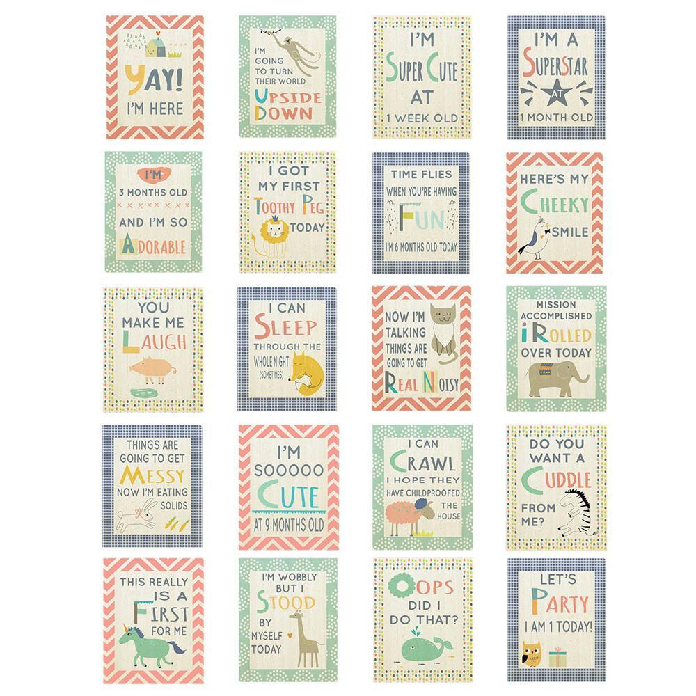Fizzy Art Milestone Cards Animal Snapture Baby Milestone Cards nursery art kids wall art